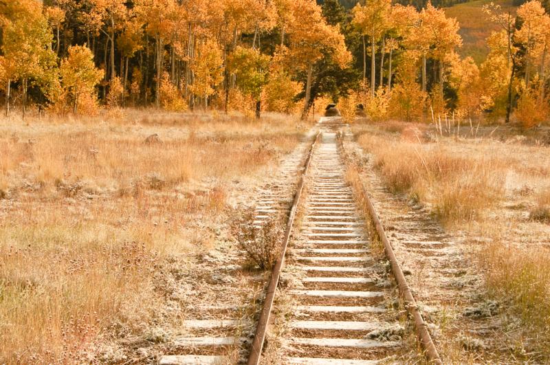 Colorado Fall Colors-0746 - Tracks ©2009 Dan Stevenson